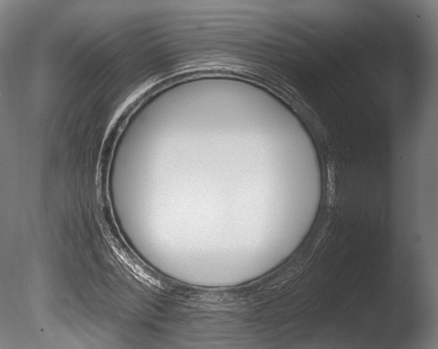 X0000086040780200703230853