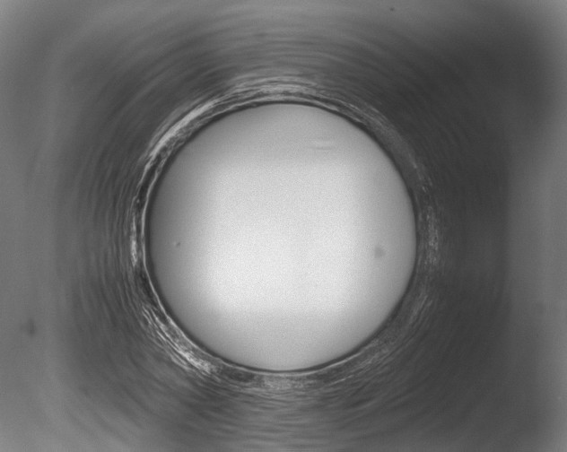X0000086040782200703230853