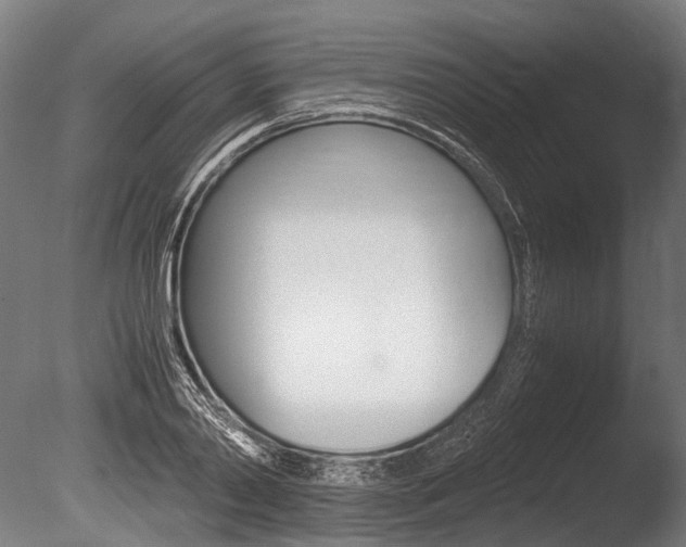X0000086040790200703230853