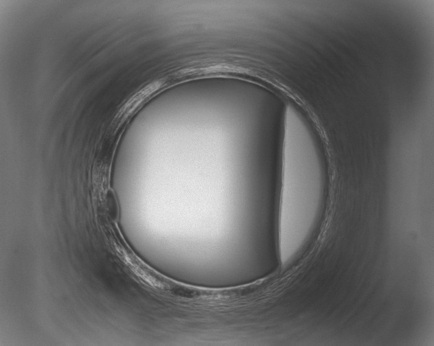X0000086040793200703230853