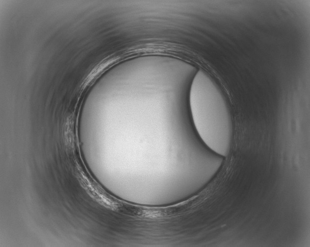 X0000086040794200703230853