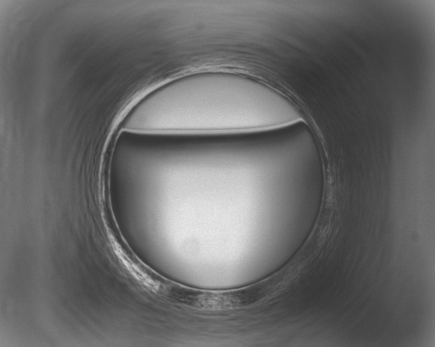 X0000086040795200703230853