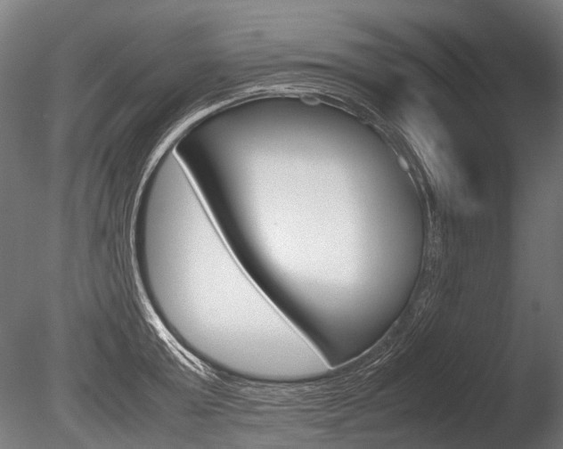 X0000086040803200703230852