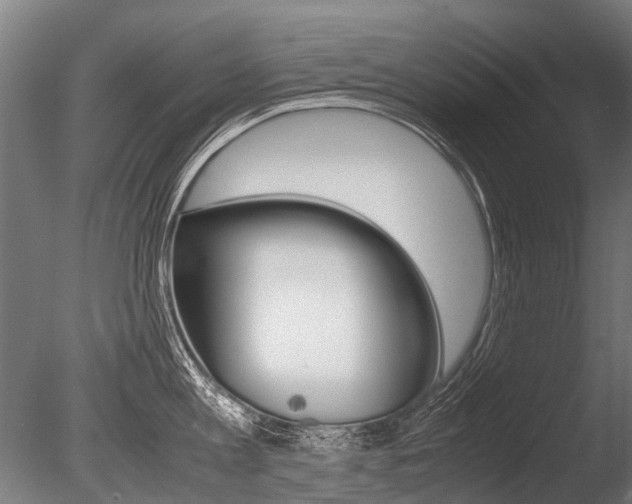 X0000086040813200703230852