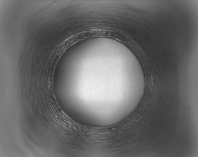 X0000086040821200703230851