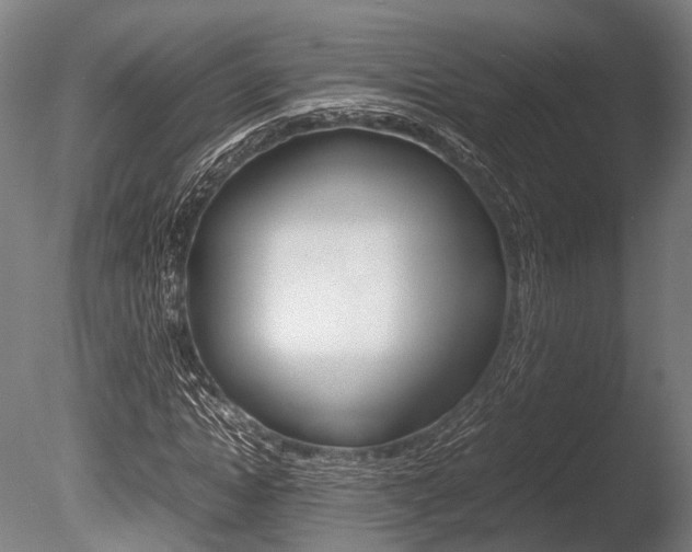 X0000086040822200703230852