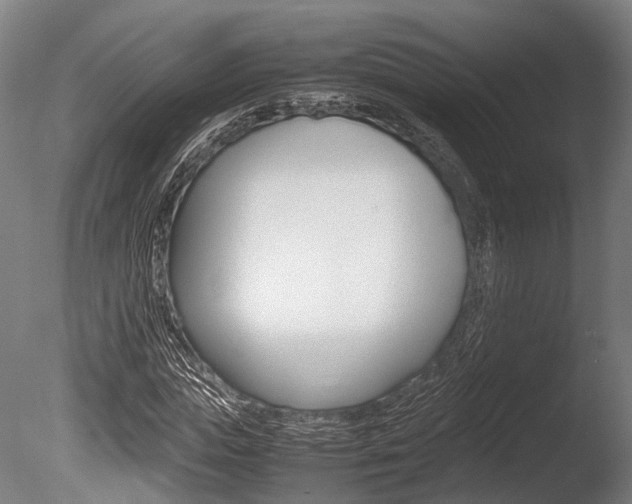 X0000086040823200703230852