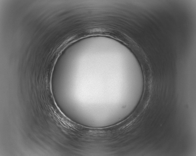 X0000086040825200703230852