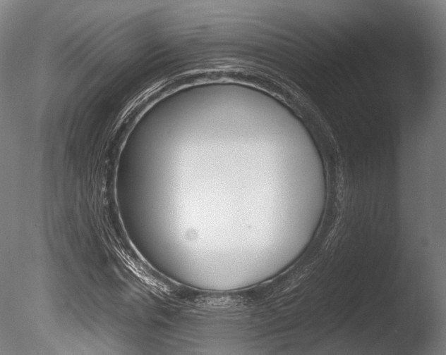 X0000086040826200703230852