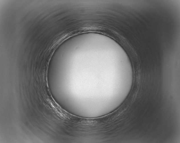 X0000086040833200703230852
