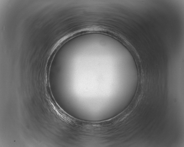 X0000086040837200703230852