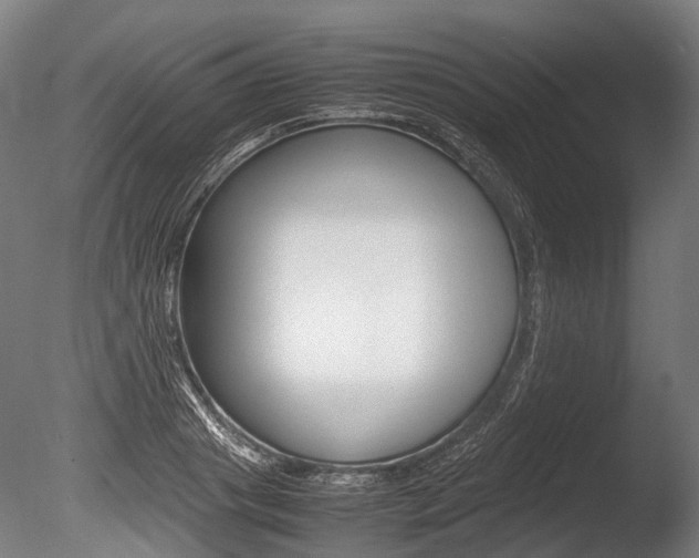 X0000086040841200703230852