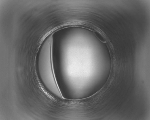 X0000086040842200703230852