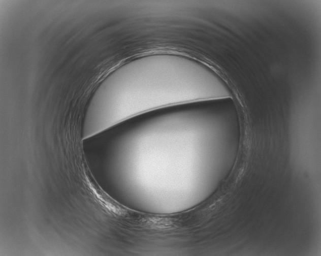 X0000086040849200703230852