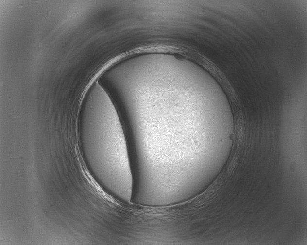 X0000086040852200703230852