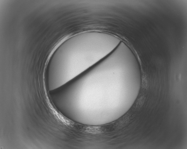 X0000086040859200703230852
