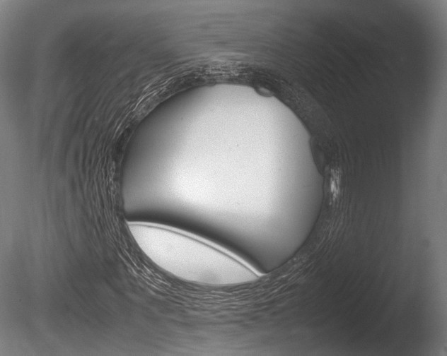 X0000086040867200703230851