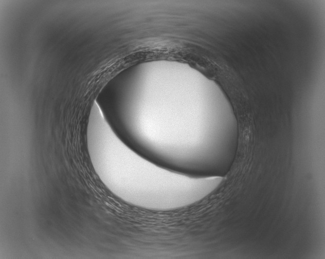 X0000086040869200703230851