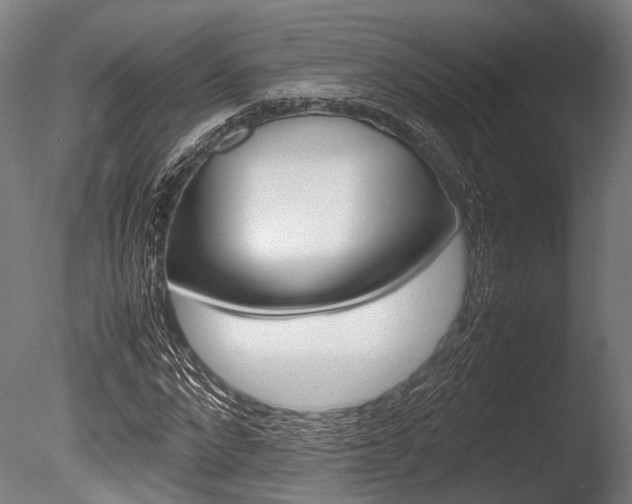 X0000086040872200703230851