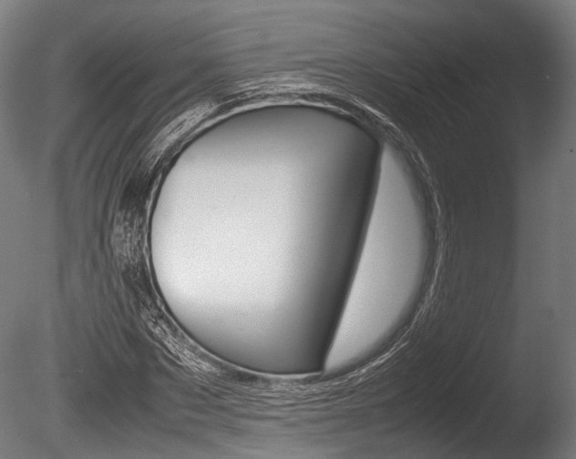 X0000086040873200703230851