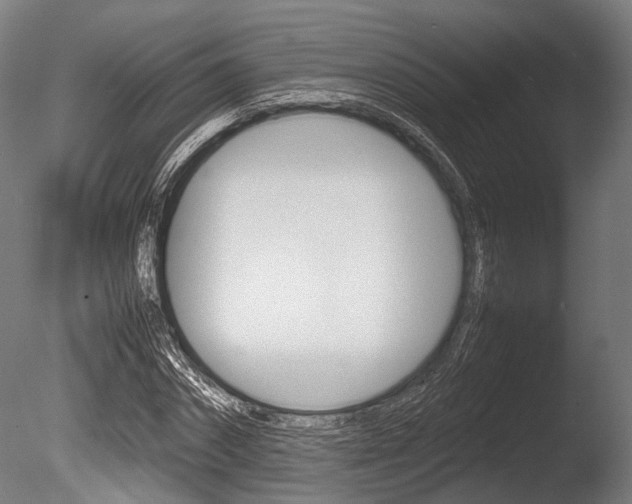 X0000086040874200703230851