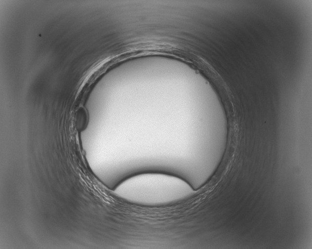 X0000086040875200703230851