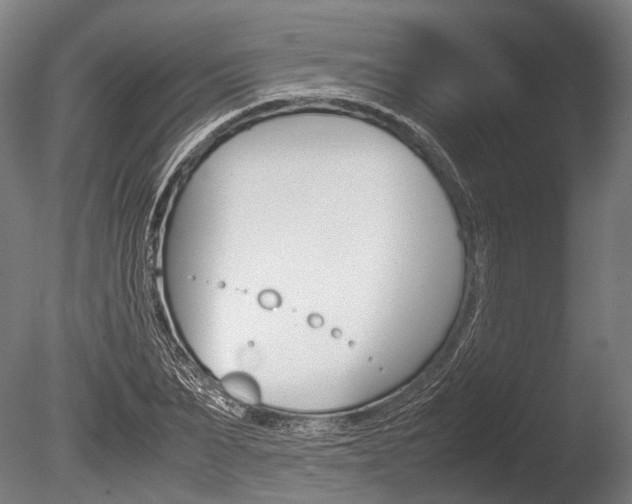 X0000086040879200703230851