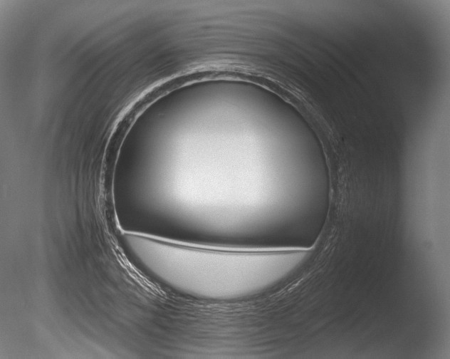 X0000086040880200703230851