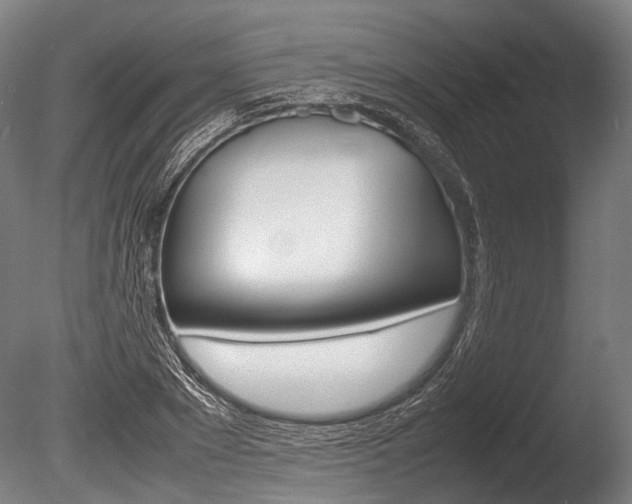 X0000086040881200703230851