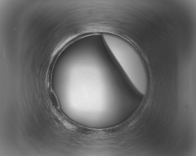 X0000086040885200703230851