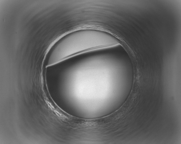 X0000086040888200703230851