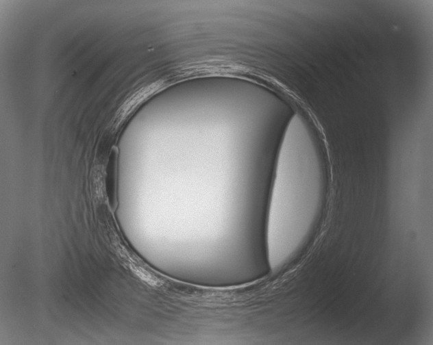 X0000086040889200703230851