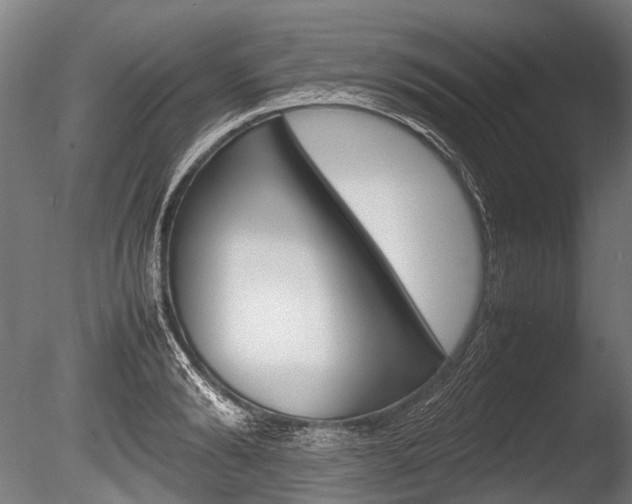 X0000086040894200703230851