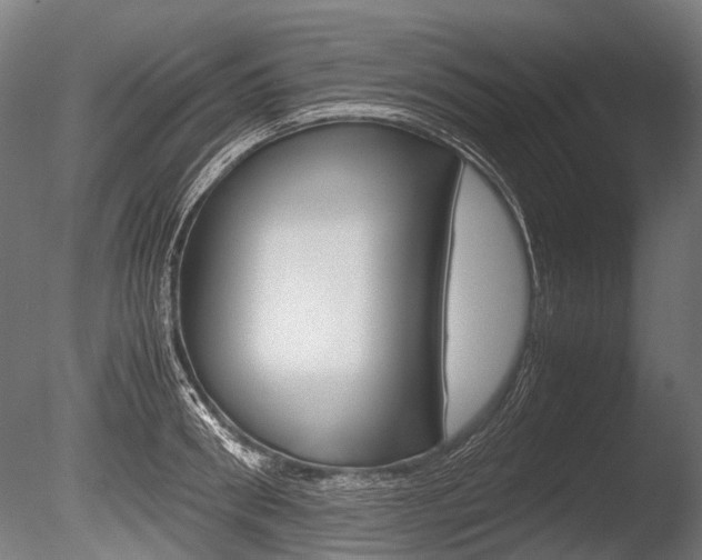 X0000086040898200703230851
