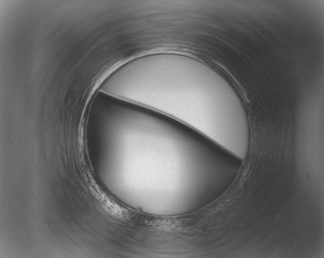 X0000086040900200703230851