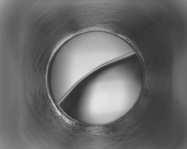 X0000086040902200703230851