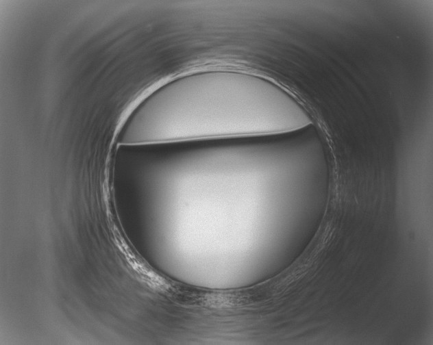 X0000086040904200703230851
