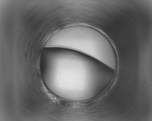 X0000086040905200703230851