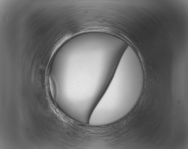 X0000086040907200703230851