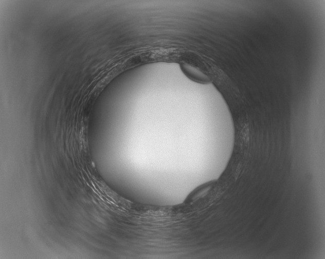 X0000086040914200703230850