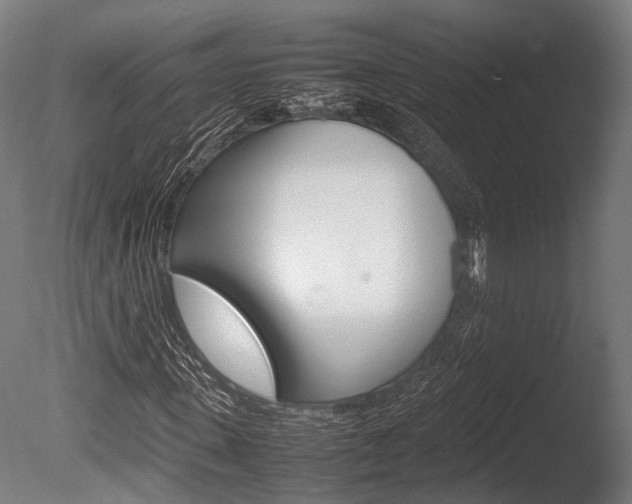X0000086040915200703230850
