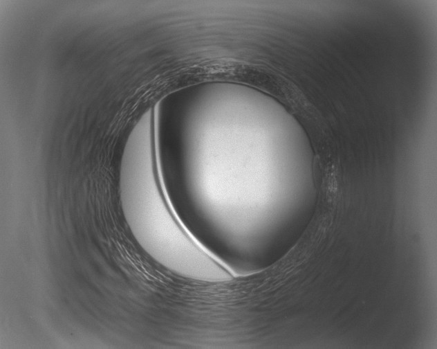 X0000086040916200703230850