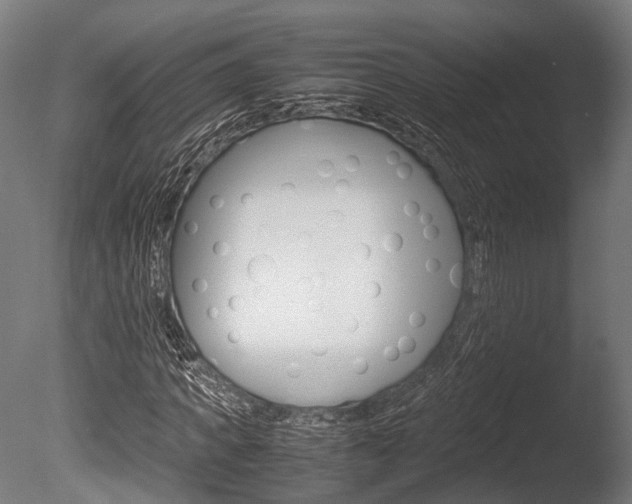 X0000086040917200703230850