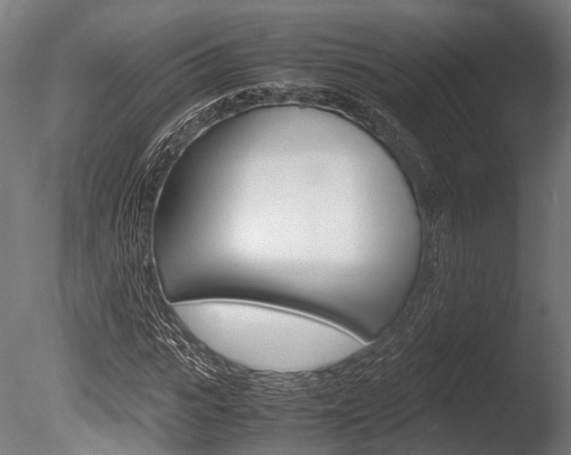 X0000086040919200703230850