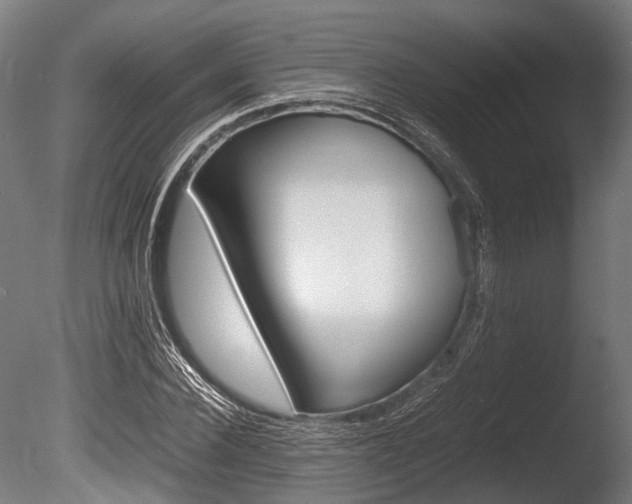 X0000086040924200703230850