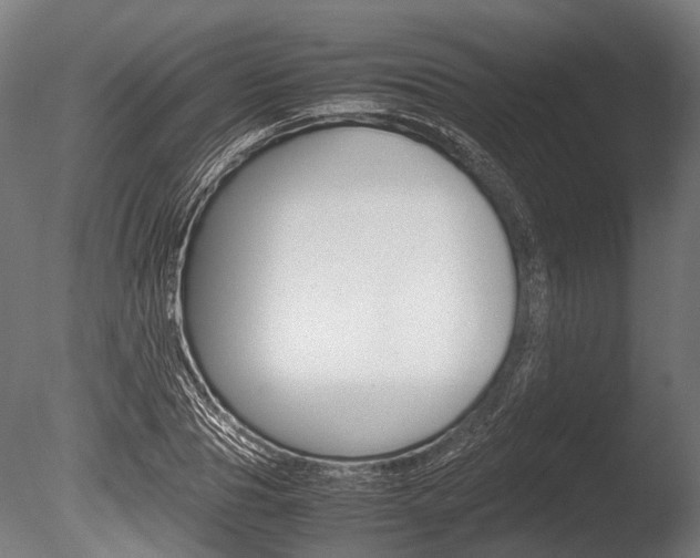 X0000086040929200703230850