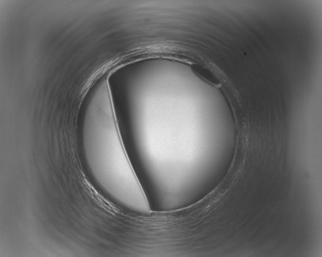 X0000086040930200703230850