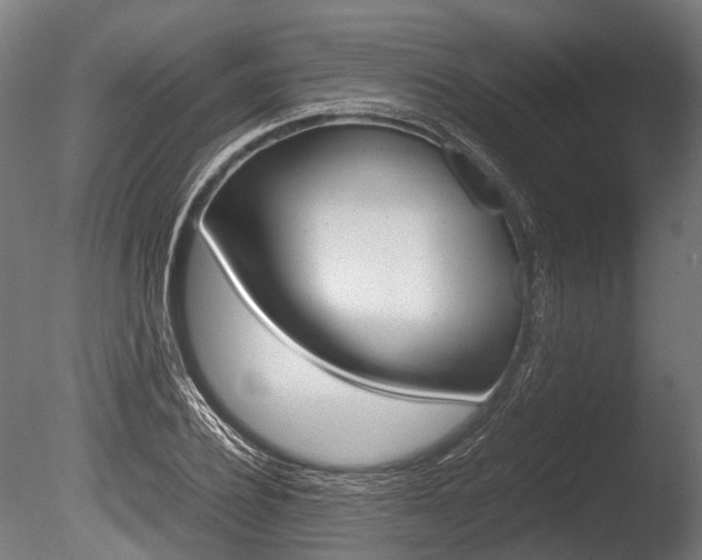 X0000086040932200703230850