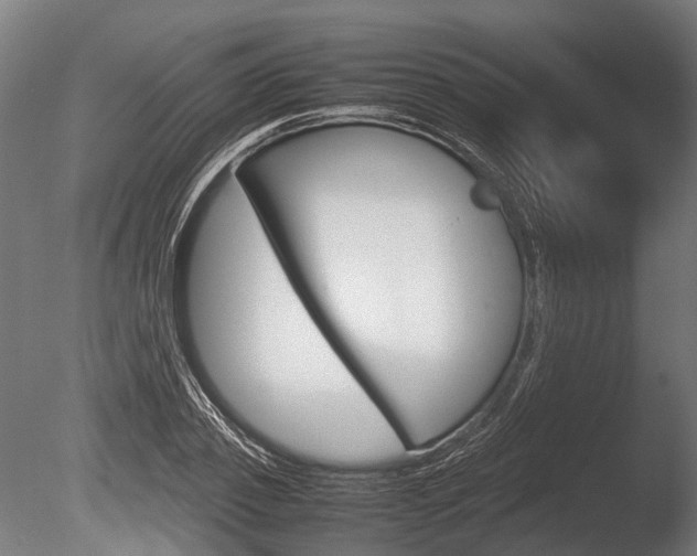 X0000086040933200703230850