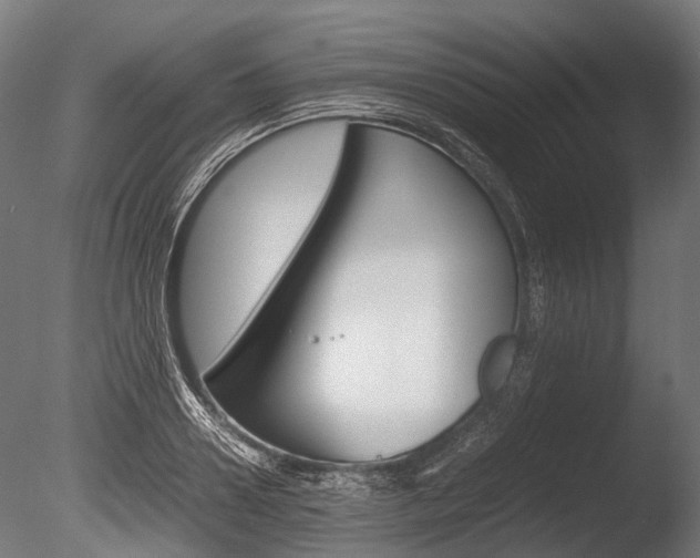 X0000086040938200703230850